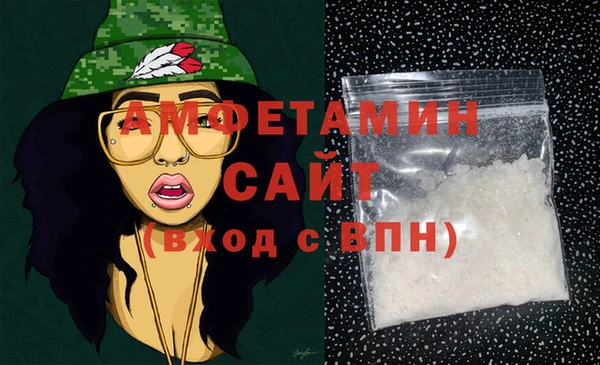 шишки Магас