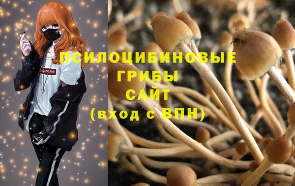 Альфа ПВП Мегион