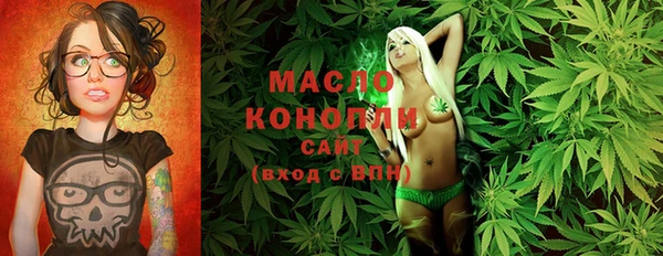 шишки Магас