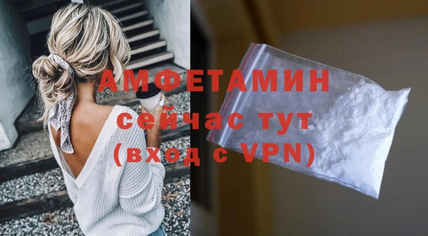 шишки Магас